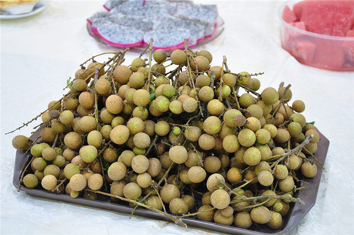 2018東科集團主題生日派對之“桂”在有“圓”活動回顧 2018東科集團主題生日派對之“桂”在有“圓”活動回顧