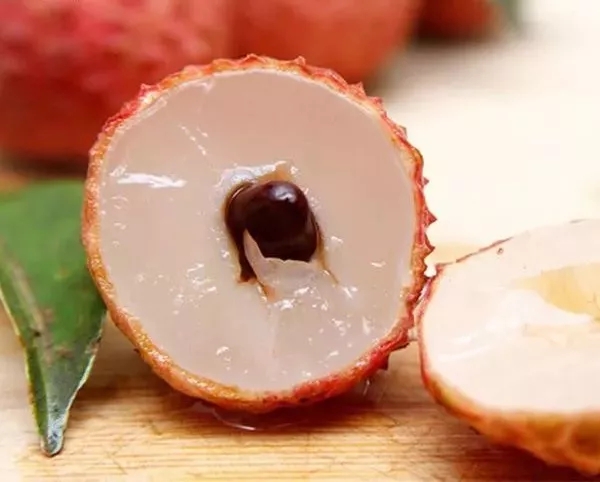 荔行朗洲，相聚東科