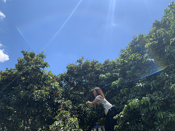 荔行朗洲，相聚東科