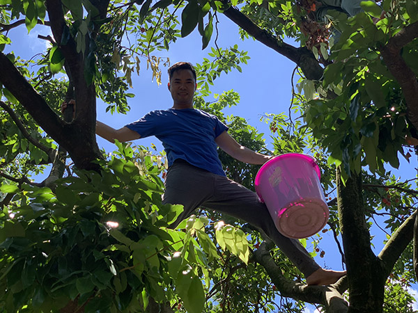 荔行朗洲，相聚東科