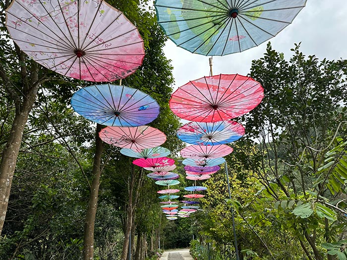 同心逐夢，溫暖同行 —— 東科集團20周年慶團建精彩回顧！