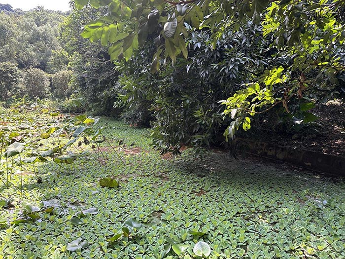 同心逐夢，溫暖同行 —— 東科集團20周年慶團建精彩回顧！