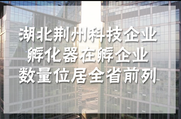 湖北荊州科技企業(yè)孵化器在孵企業(yè)數(shù)量位居全省前列