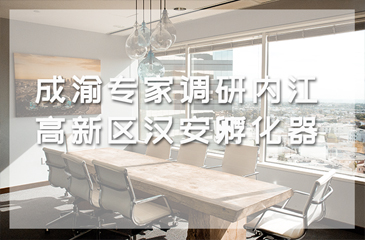 成渝專家調(diào)研內(nèi)江高新區(qū)漢安孵化器