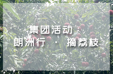 集團(tuán)活動(dòng)：朗洲行 · 摘荔枝